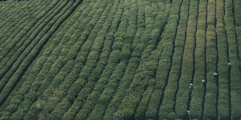半导体超纯水制备：揭秘EDI技术与双级反渗透系统的核心作用与高效维护策略