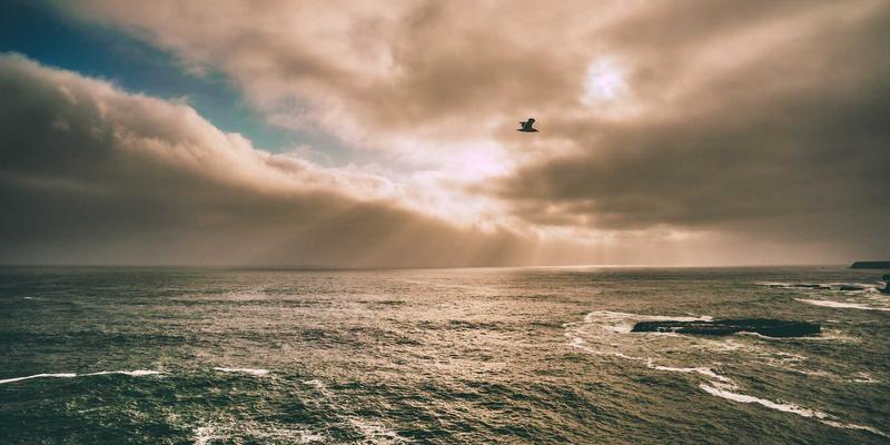 地下水硝酸盐污染修复：原位与异位水技术深度对比