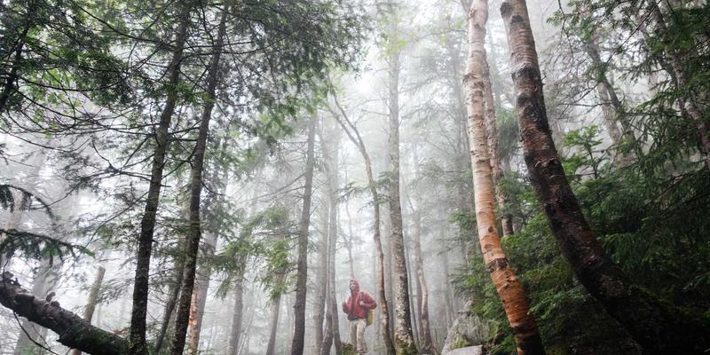 水处理84：现代水净化技术与智能水解决方案全解析