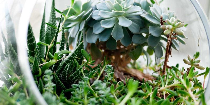 水处理技术新视野：从水软化到全面净化的现代解决方案