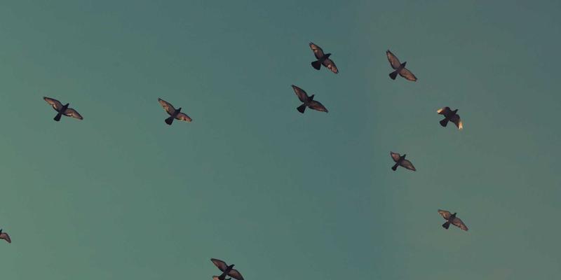 水处理设备全解析：从水过滤到深度净化的核心技术与应用