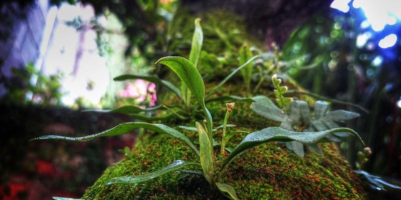 家用净水器选购终极指南：从水处理设备到水过滤与软化的科学选择