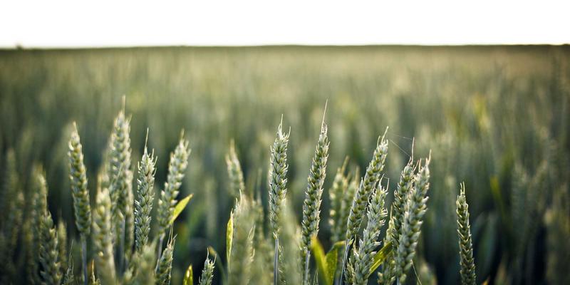 数据中心冷却水系统结垢控制与能效优化：先进水技术与水处理设备的关键作用